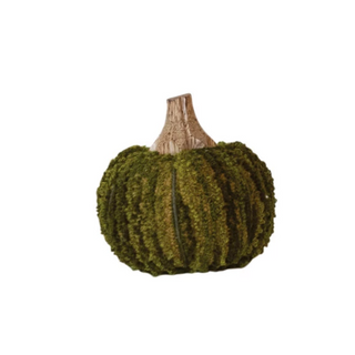 Cotton Blend Bouclé/Velvet Pumpkin w/ Wood Stem