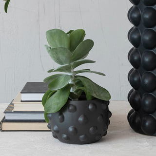 Terra-cotta Planter w/ Raised Dots, Matte Black