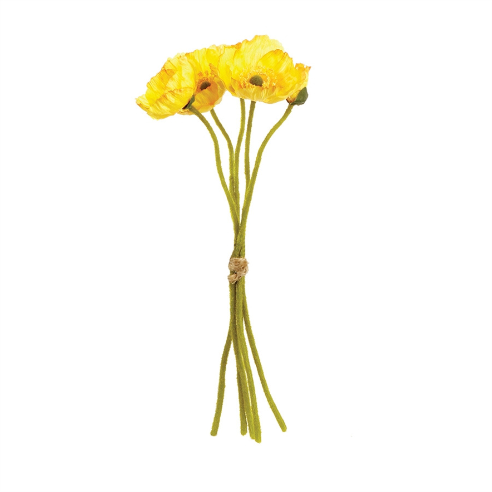 MINI POPPY CUTTINGS 11