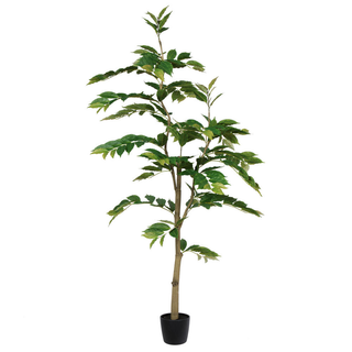 6' Potted Nandina Tree
