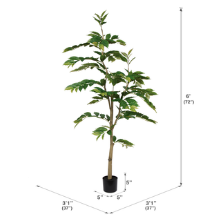 6' Potted Nandina Tree