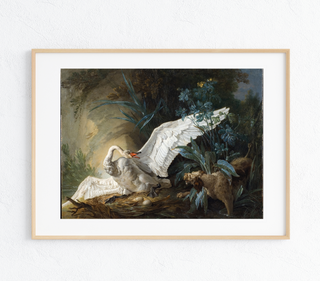 Swans Nest  Art Print