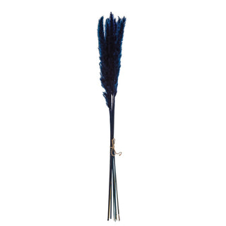 Dried Pampas Grass, Navy